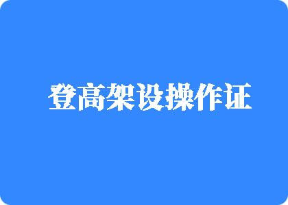 美女吃大鸡视频网站免费视频网站免费登高架设操作证